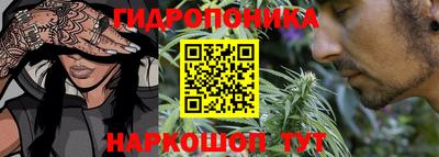 эйфоретик Кимры