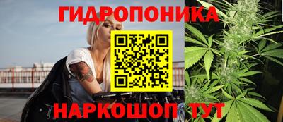 эйфоретик Кимры