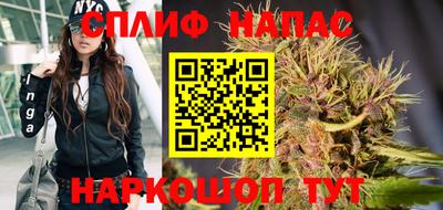 эйфоретик Кимры